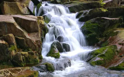 Palabras de vida eterna