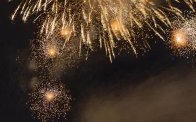 TE DESEAMOS UN FELIZ AÑO 2024