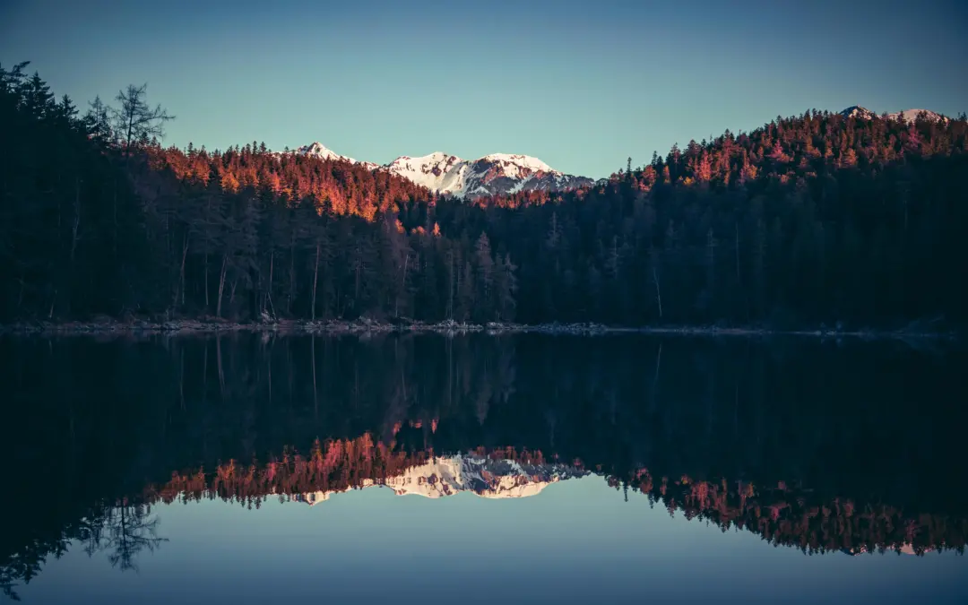 Vencer, vencer y vencer