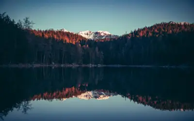 Vencer, vencer y vencer