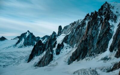 Los que confían en el Señor