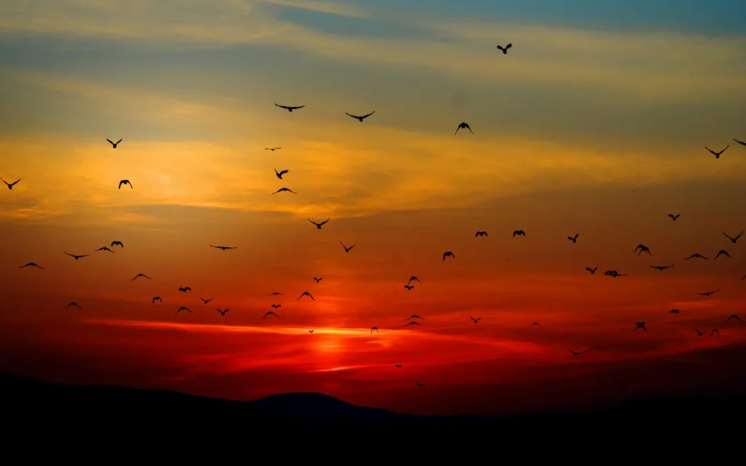 Un nuevo día, una nueva oportunidad