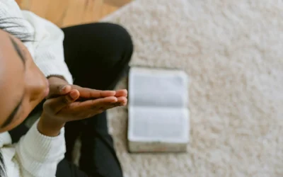 La ayuda está de camino