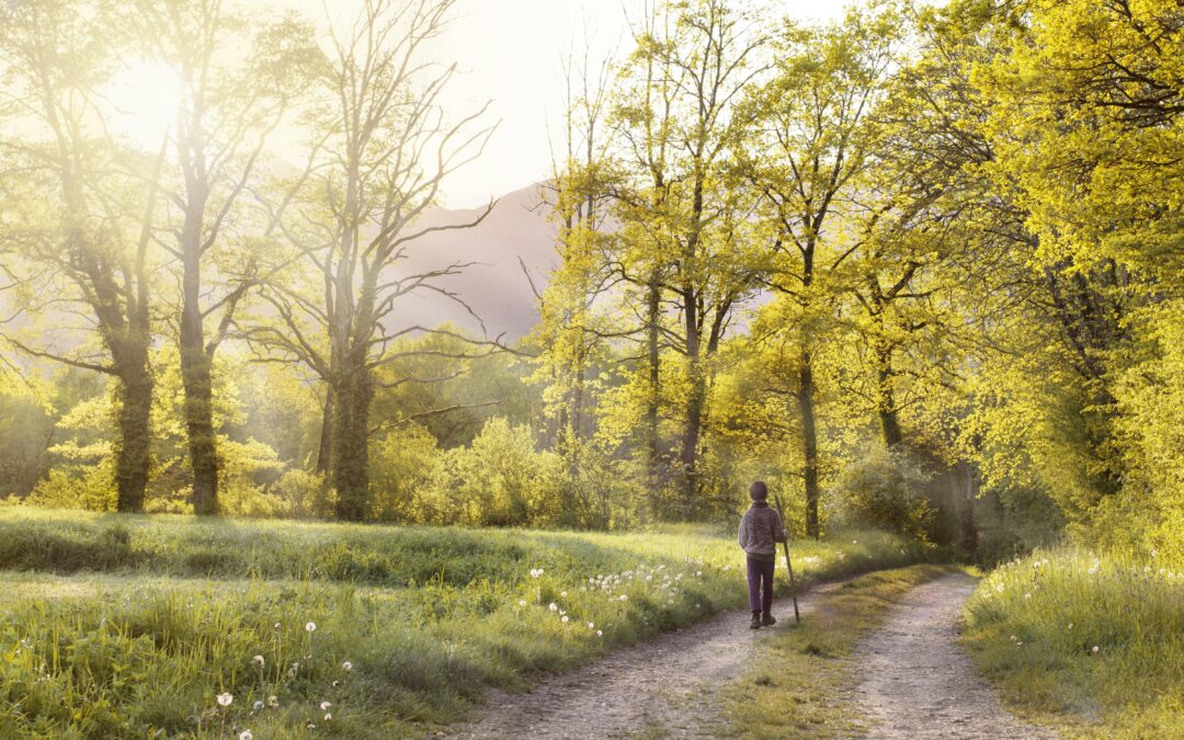 Sigue el camino indicado